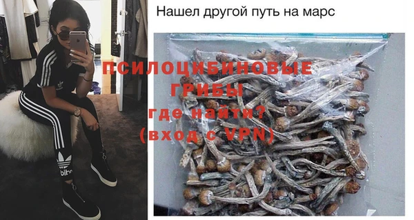 ешки Алексин