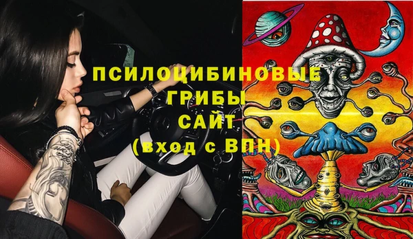 дмт Алзамай