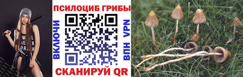 Псилоцибиновые грибы ЛСД  Кемерово 